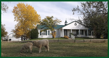 Welcome to Willow Tree Country Inn, Bennett, CO